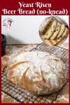 Bread making with beer or ale using yeast with Progress Pictures