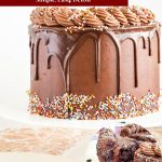 Pinterest image for birthday cake.