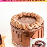 Pinterest image for birthday cake.