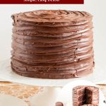 Pinterest image for Death by Chocolate Cake.
