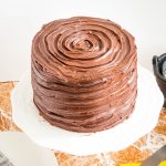 A frosted chocolate cake on the cake stand.