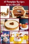 Learn to make delicious pumpkin recipes to try this fall season with fresh homemade pumpkin puree