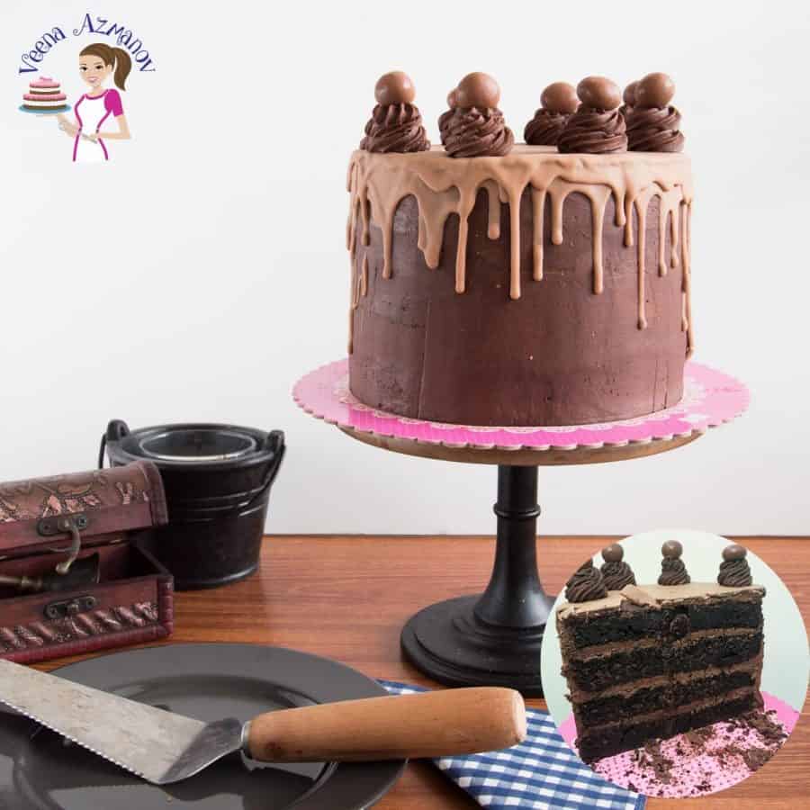Chocolate cake on a cake stand.