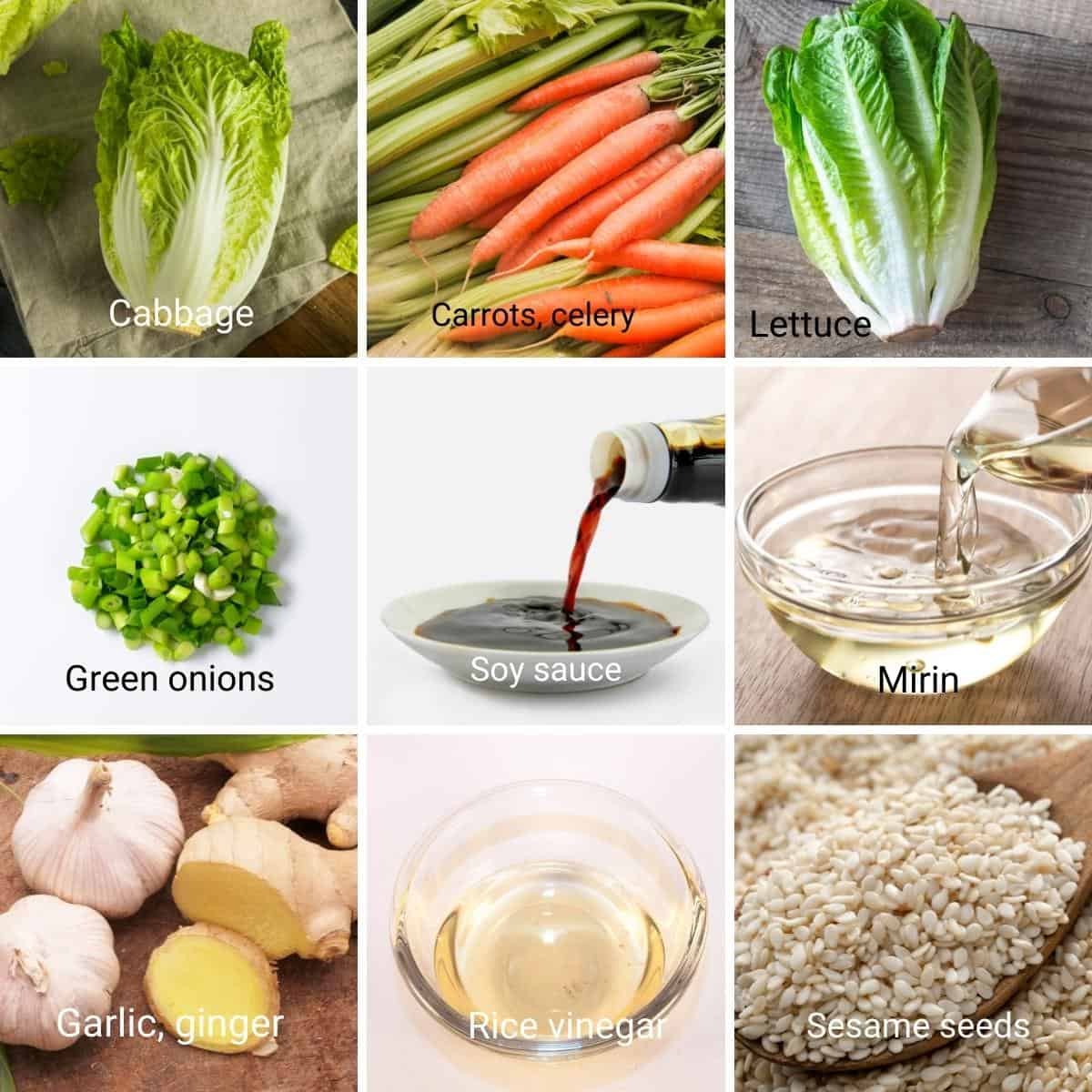 Ingredients for making asian salad.