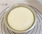 Pizza dough in a bowl.