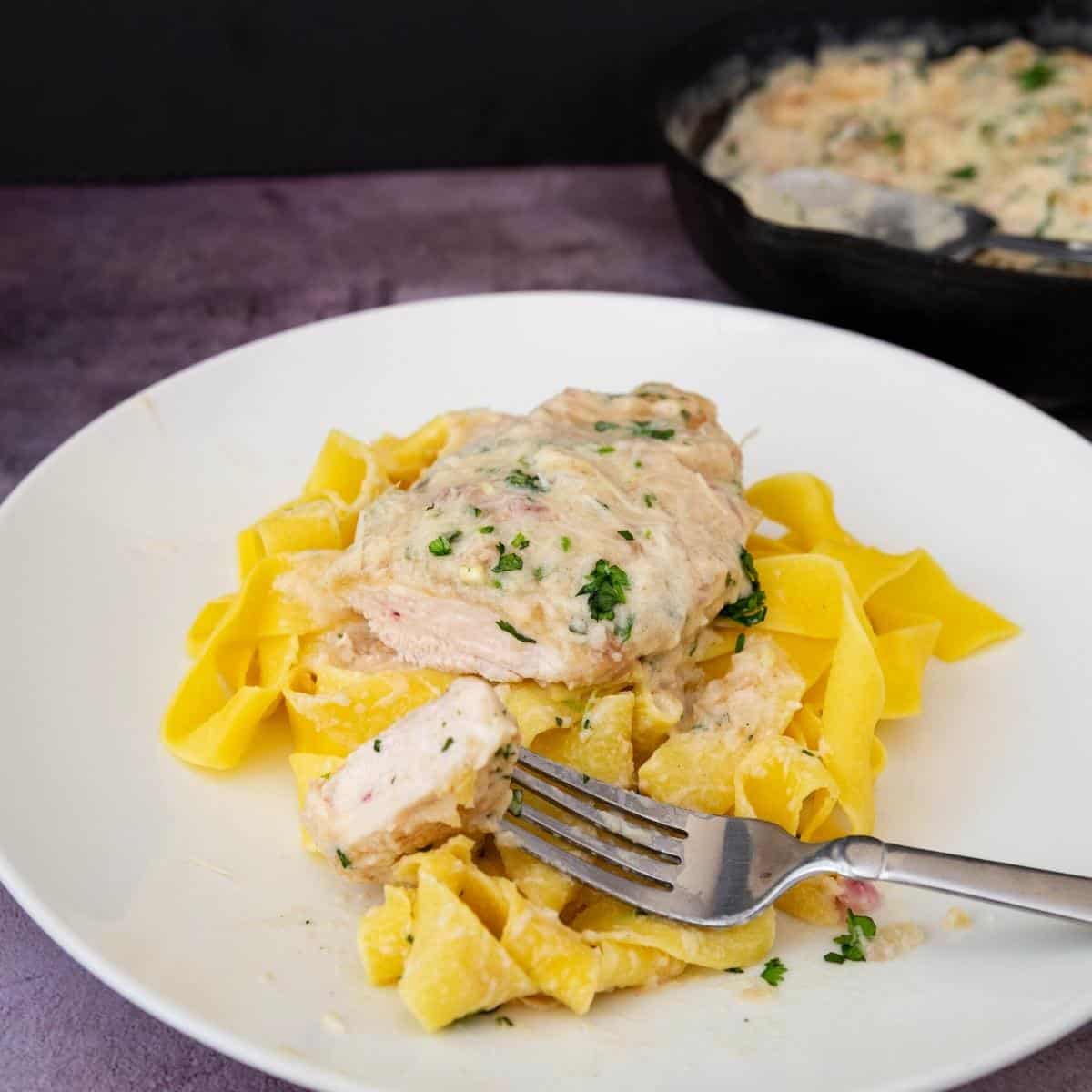 A plate with chicken with white sauce over pasta.