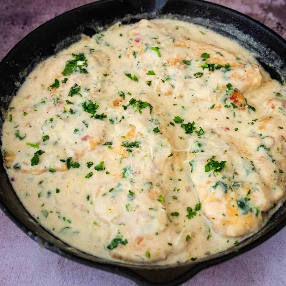 Skillet with seared chicken white sauce.