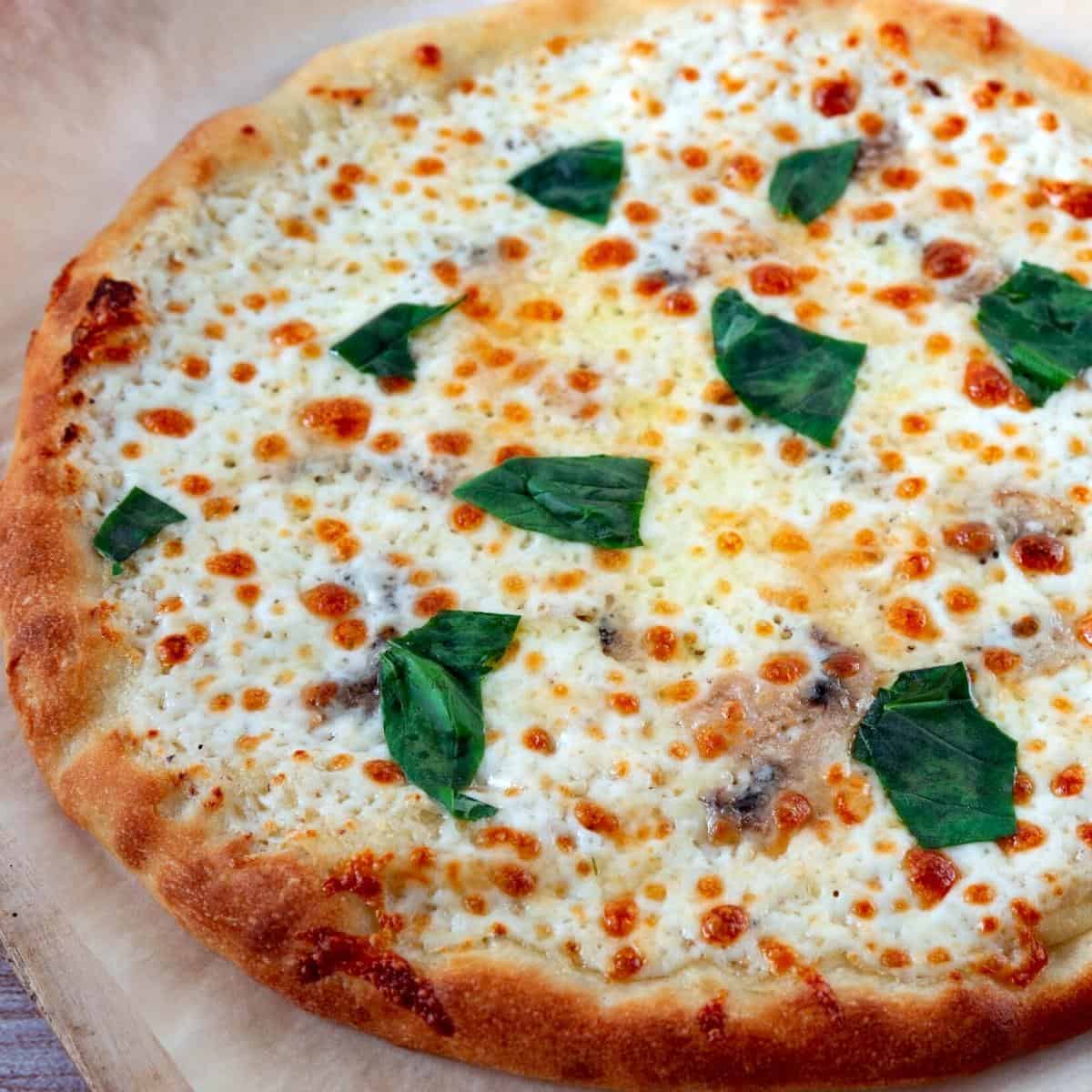A pizza with white sauce baked fresh.
