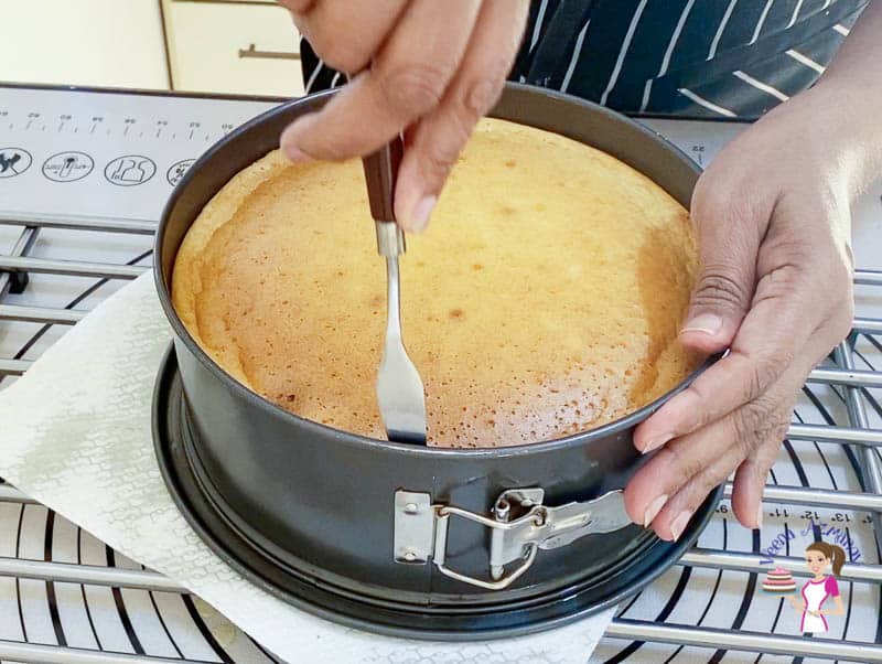 A person releasing a baked cheesecake from a spring form pan.