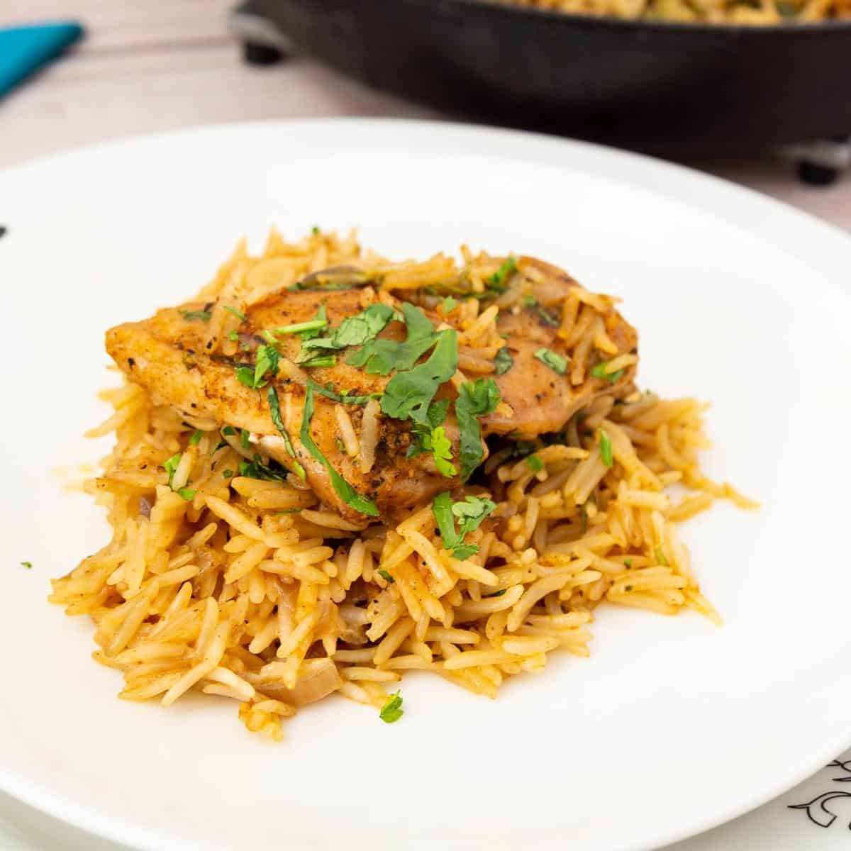 A plate with chicken and rice.