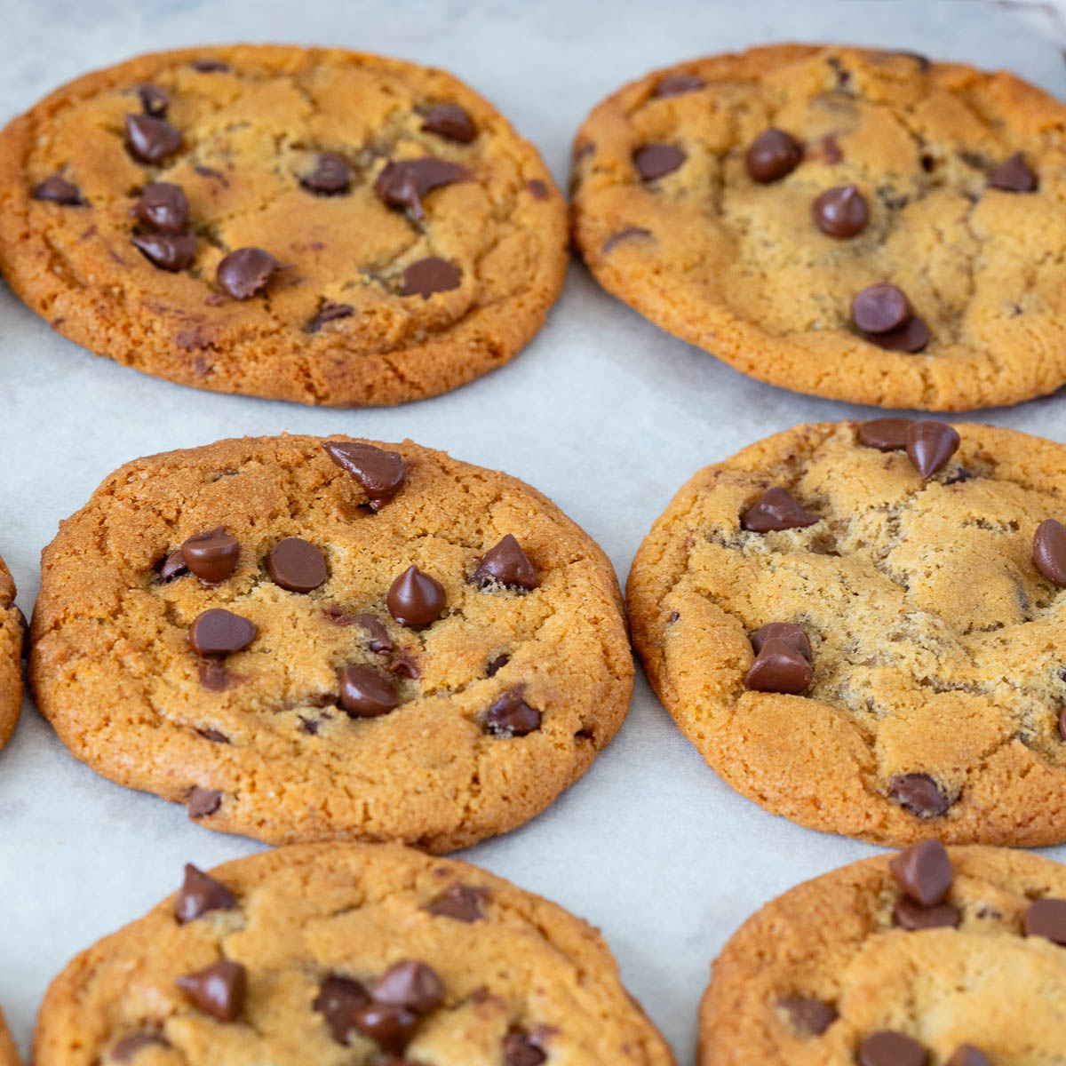 A baking tray with bake chocolate chip cookies.
