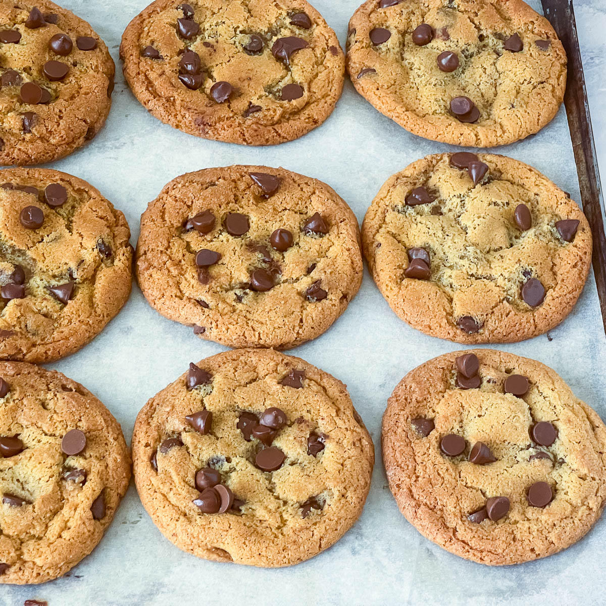 A baking tray with fresh chocolate chip cookies.