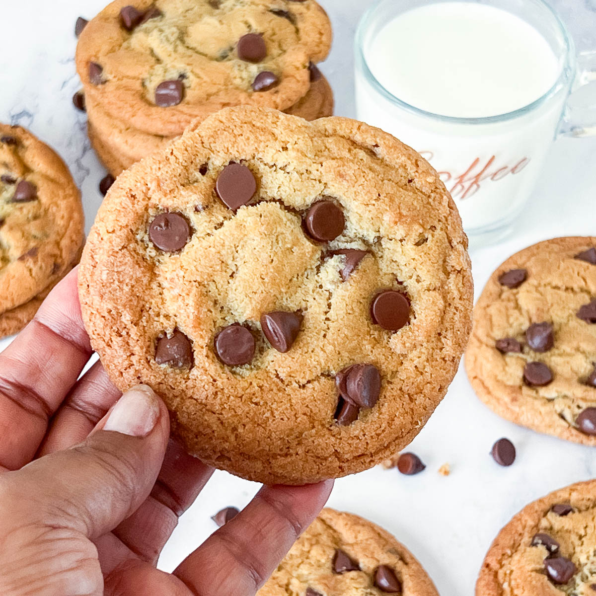 Holding the chocolate chip cookies for close look.