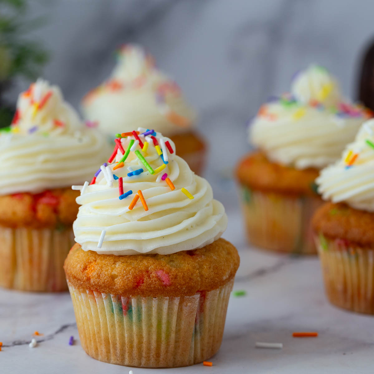A cake pan with funfetti on the cake stand.