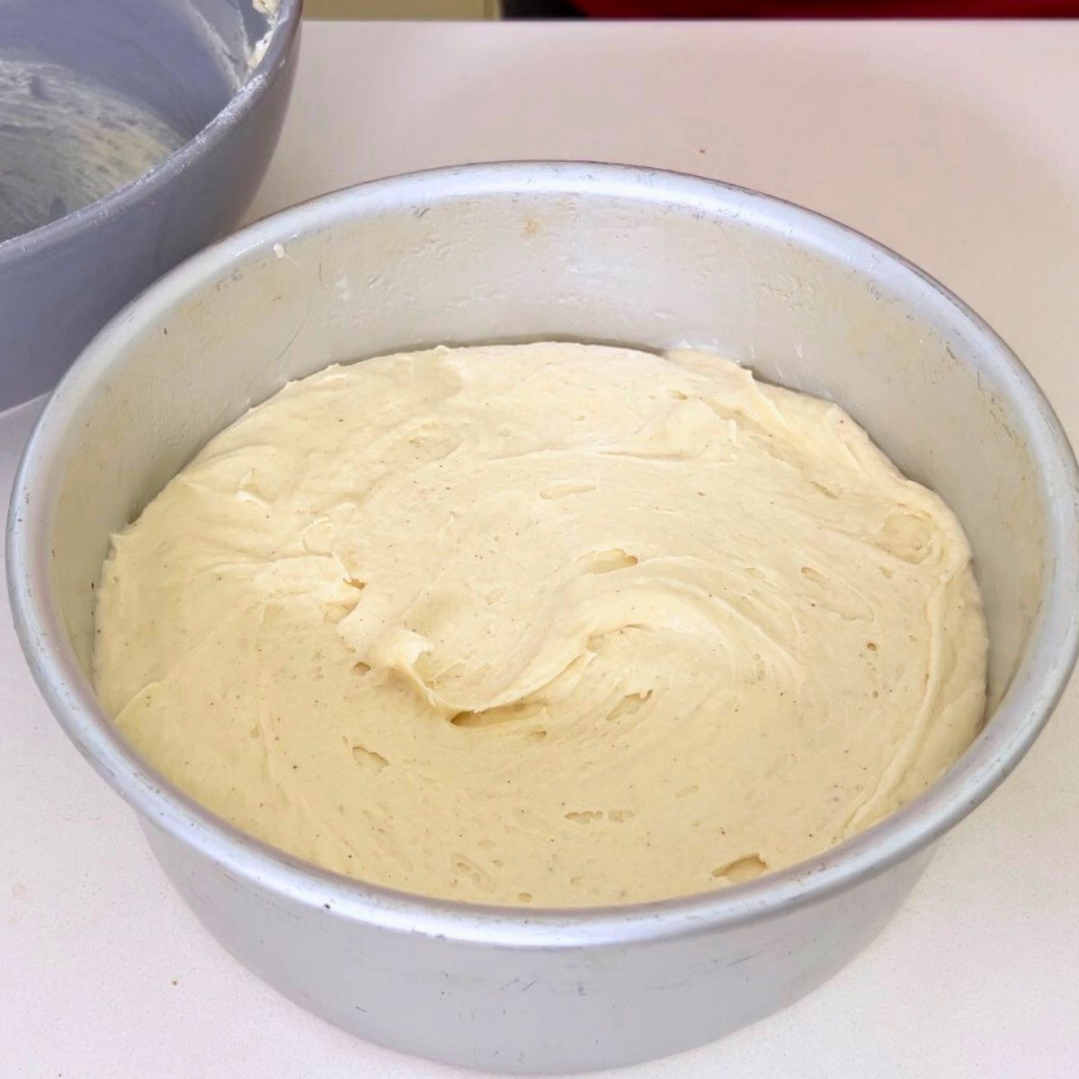 A Cake pan with vanilla cake.