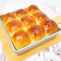 Japanese dinner rolls in a square pan.