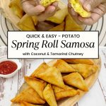 Pinterest image for Spring Roll Samosa.