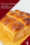 How to make dinner rolls with whole wheat flour