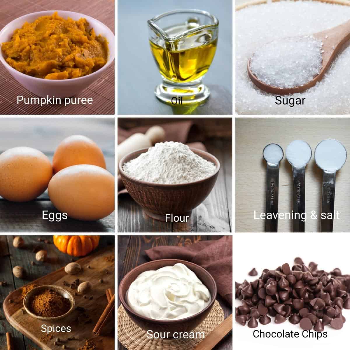 Ingredients for pumpkin cake with chocolate chips.