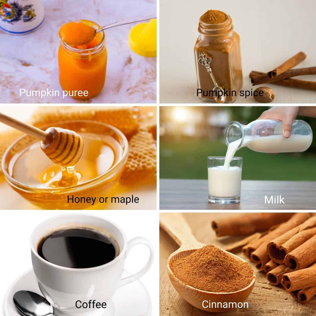 Ingredients for pumpkin spice latte.