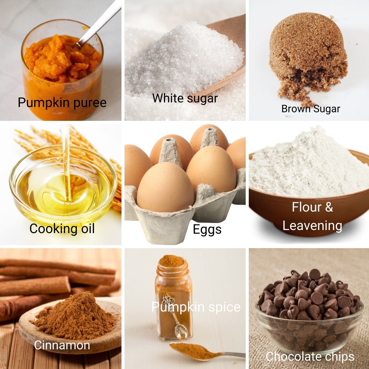 Ingredients for making Chocolate Chip Pumpkin Cake.