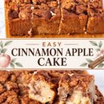 Pinterest image for Cinnamon Apple Cake with Cinnamon Swirl.