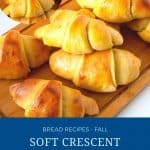 Pinterest image for pumpkin crescents rolls.