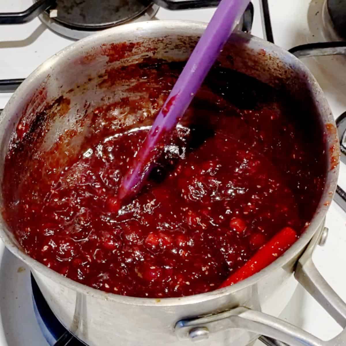 Homemade Cranberry Sauce That Will Wow Your Guests - 16