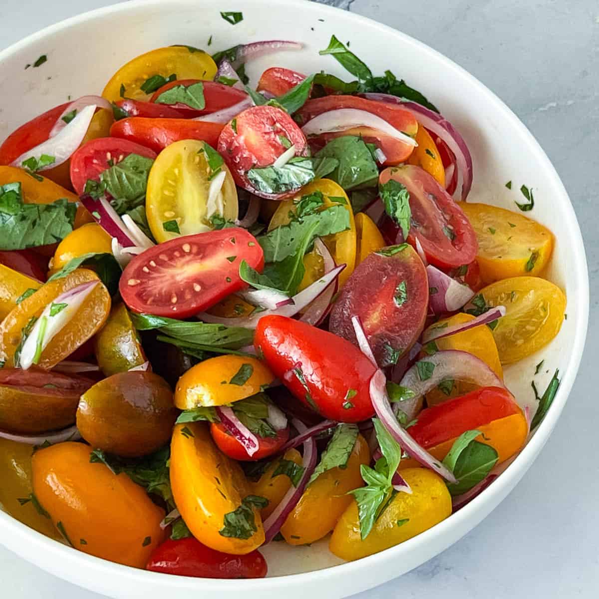 Fresh tomatoes salad with red onions.
