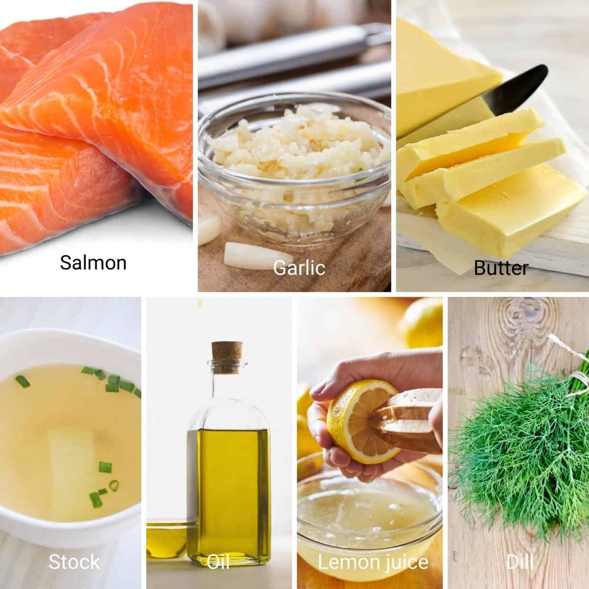 Ingredients shot collage for garlic butter salmon.
