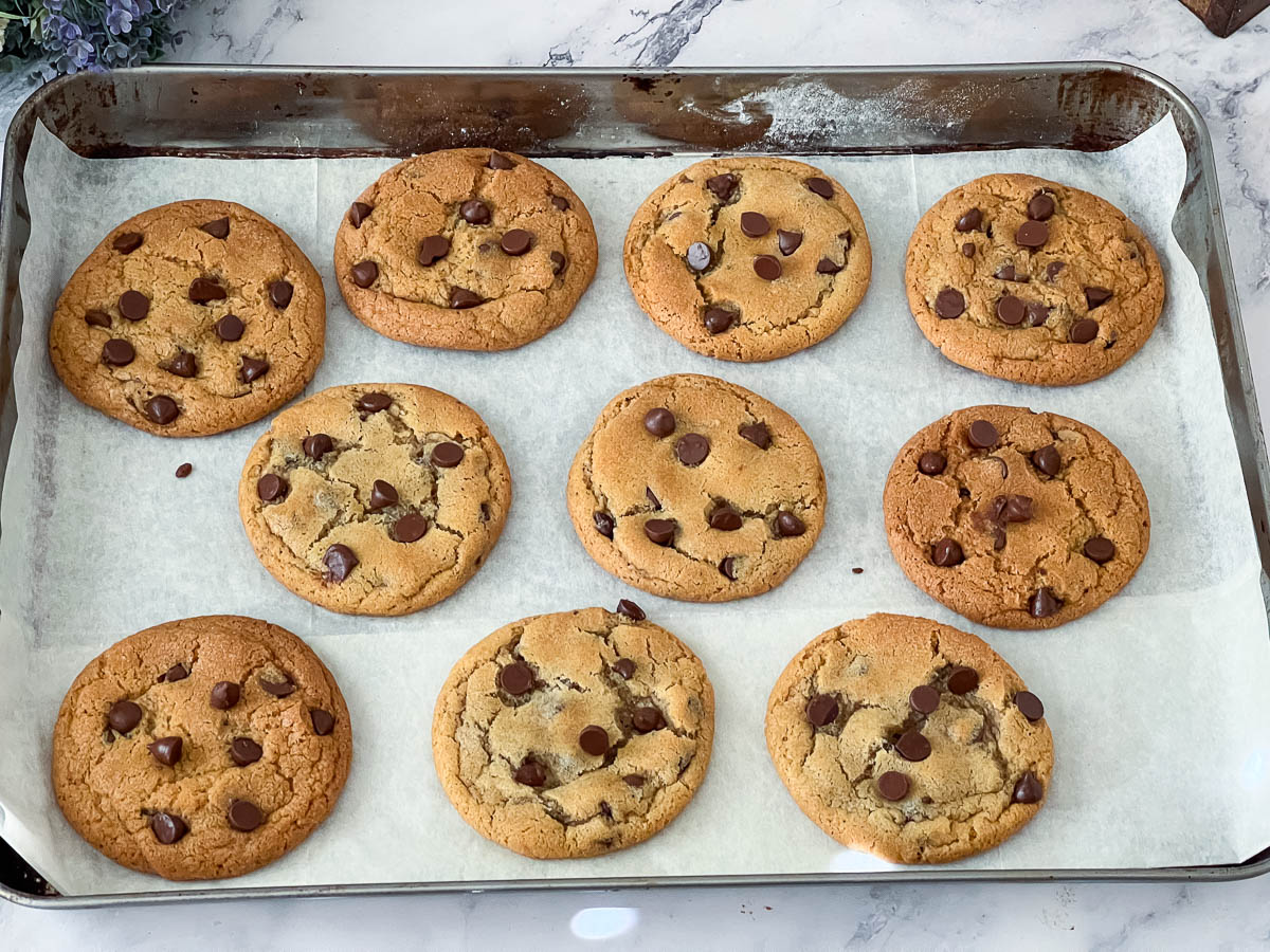 A baking sheet with baked chocolate chip cookies.