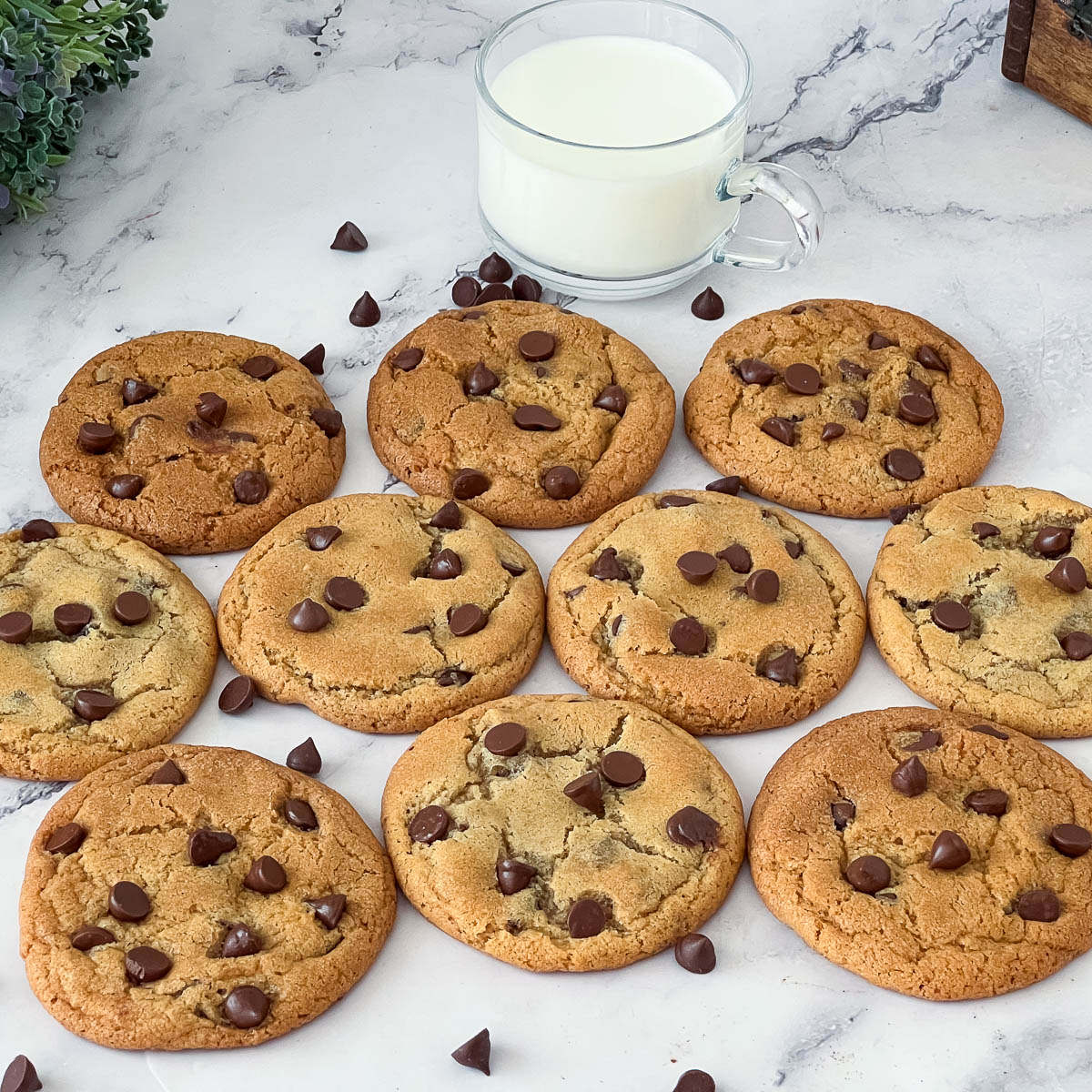 Baked chocolate chip cookies on the table.