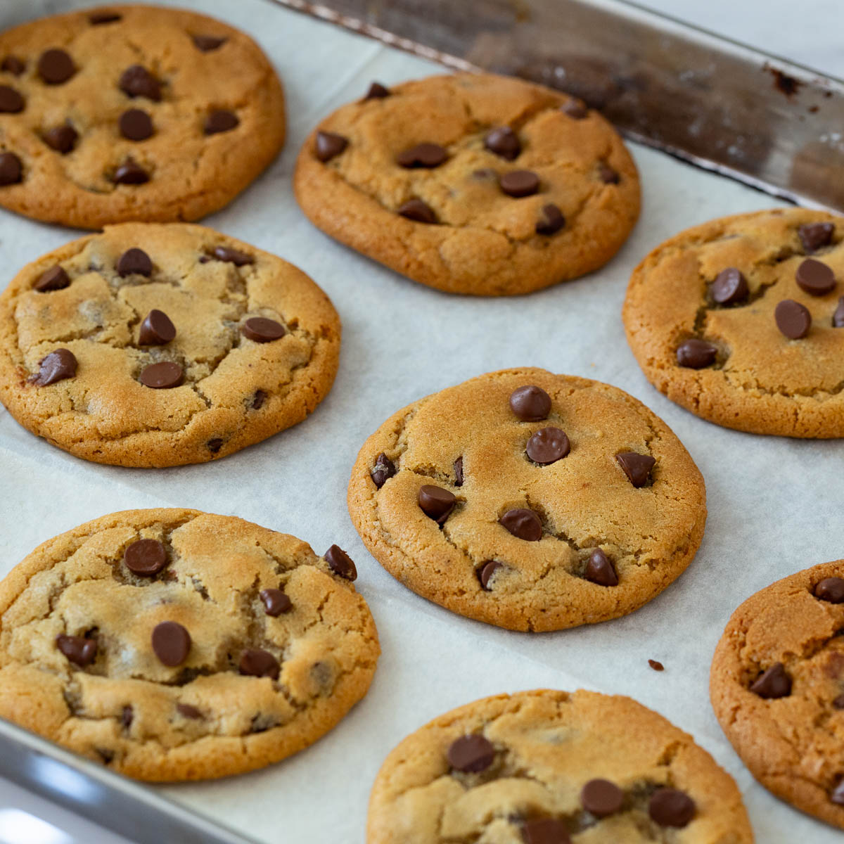 Baked chocolate chip cookies on the table.