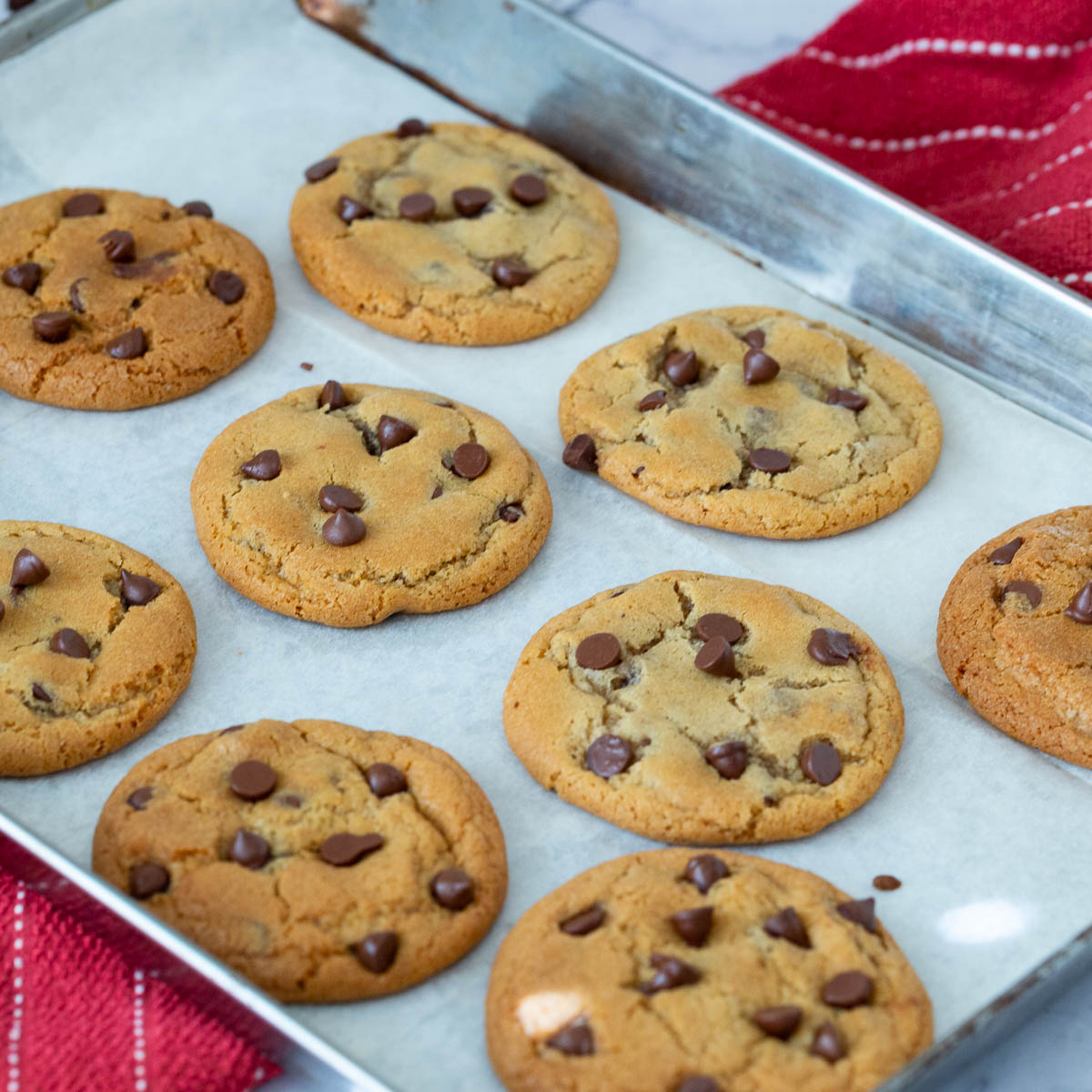 A baking tray with chocolate chip cookies.