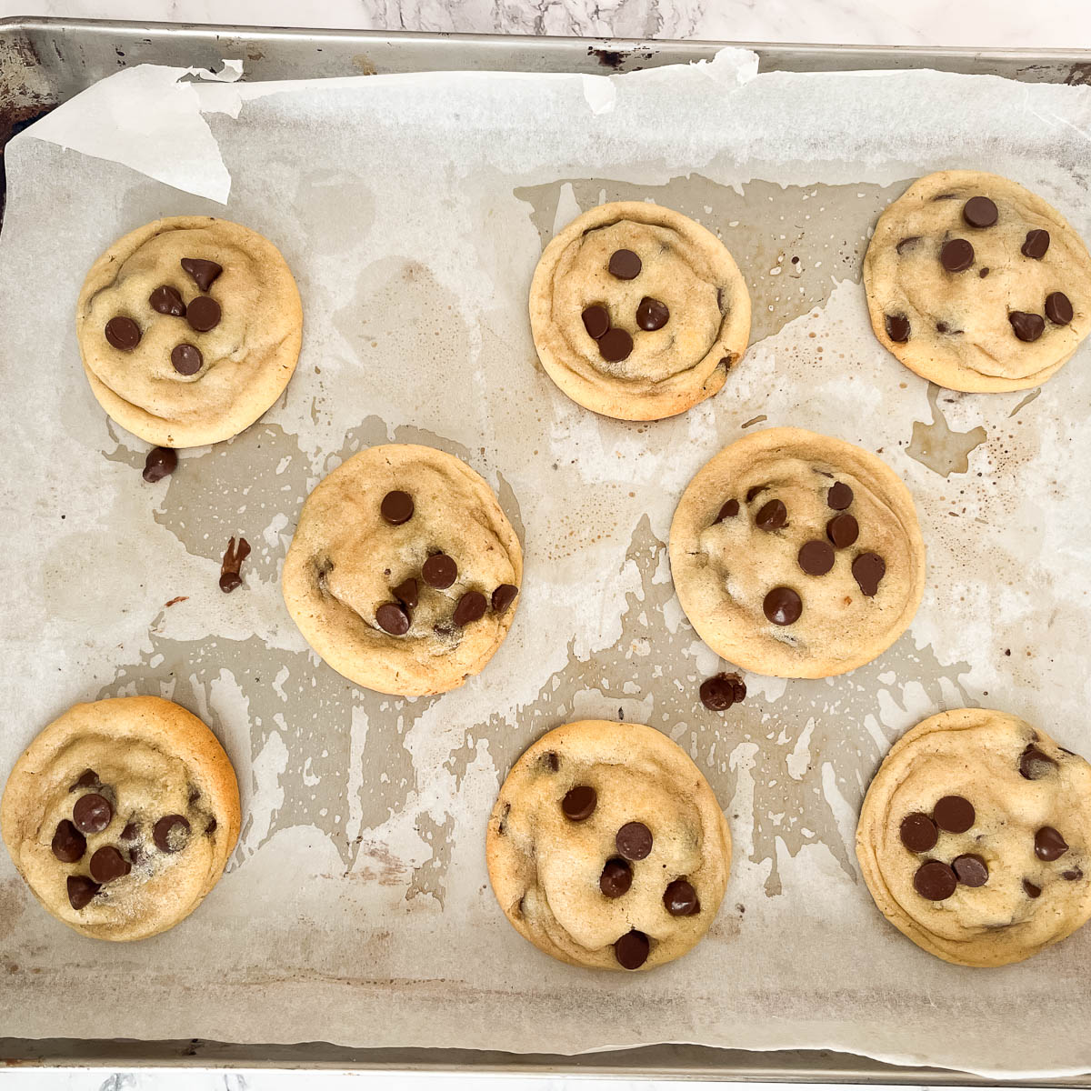 Fresh baked cookies on a wire rack.