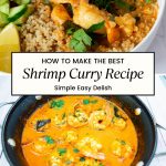 Pinterest image for Shrimp Curry in 15 Minutes.