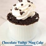 Pinterest image for chocolate mug cake.