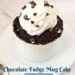 Pinterest image for chocolate mug cake.