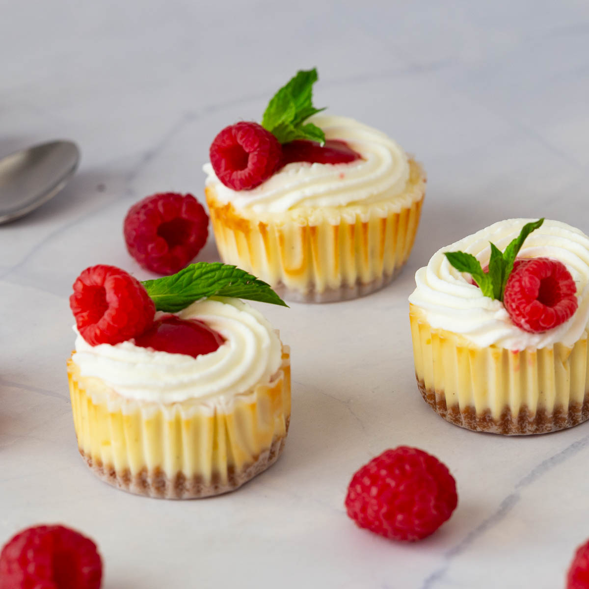 Mini cheesecakes with raspberries.