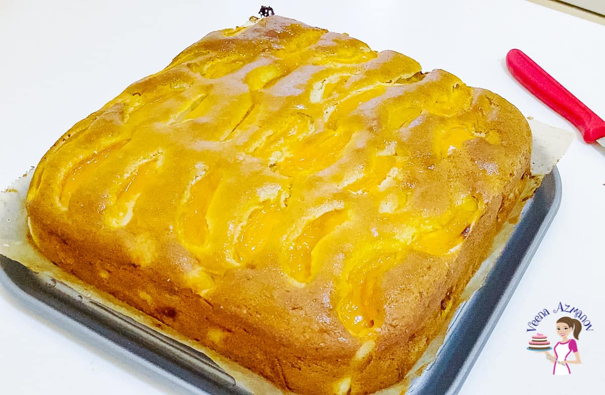 A coffee cake topped with fresh apricots on a cake pan.