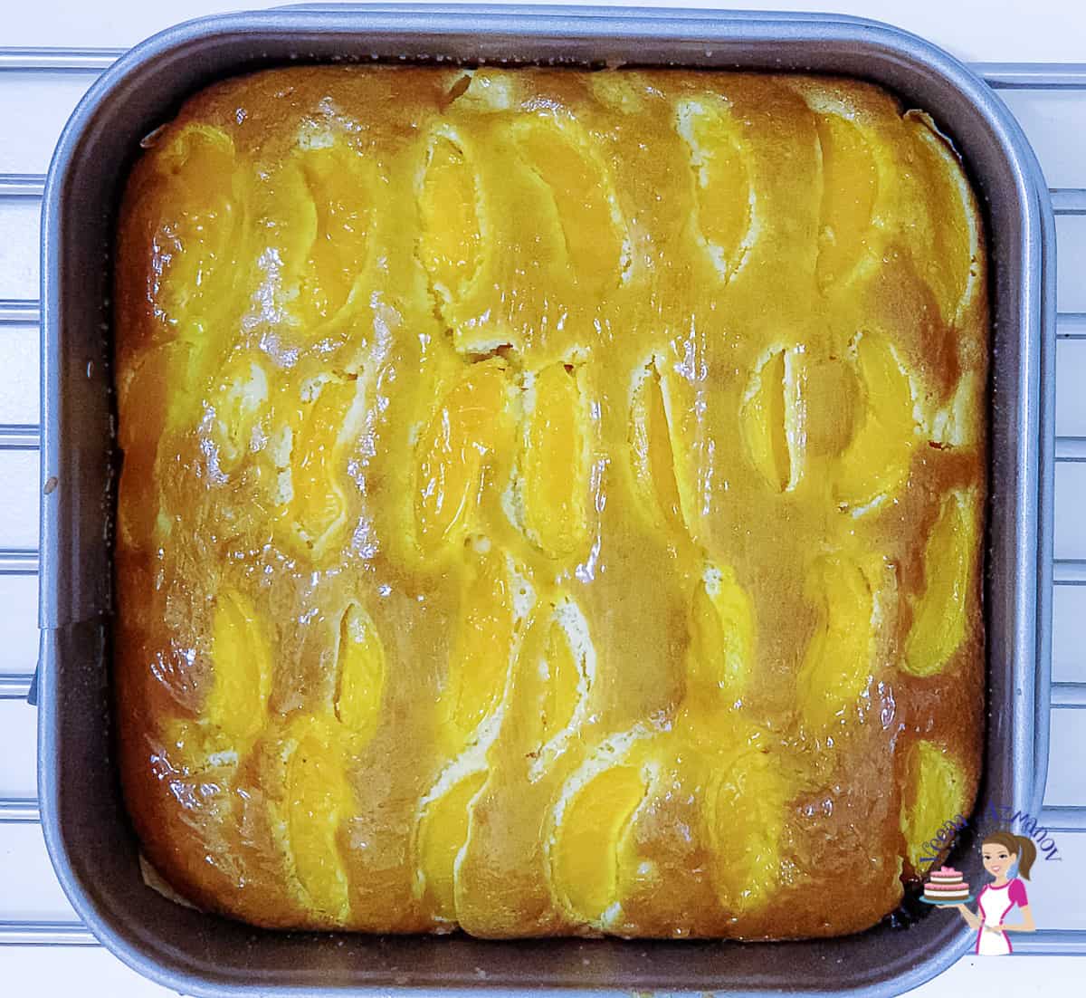 A cake with fresh apricots in a square cake pan.