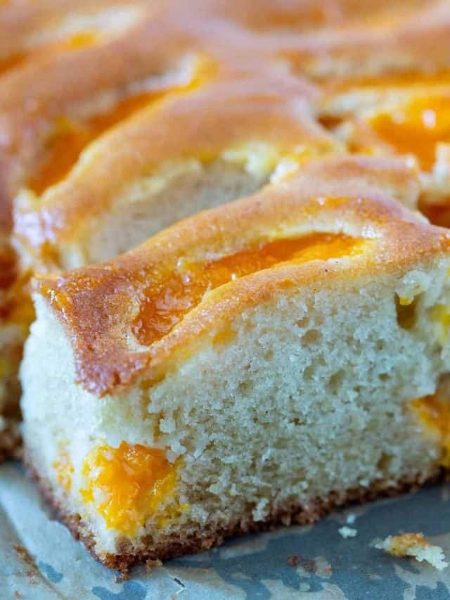Fresh Apricot Cake Recipe