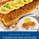 Pinterest image for salmon with parmesan.