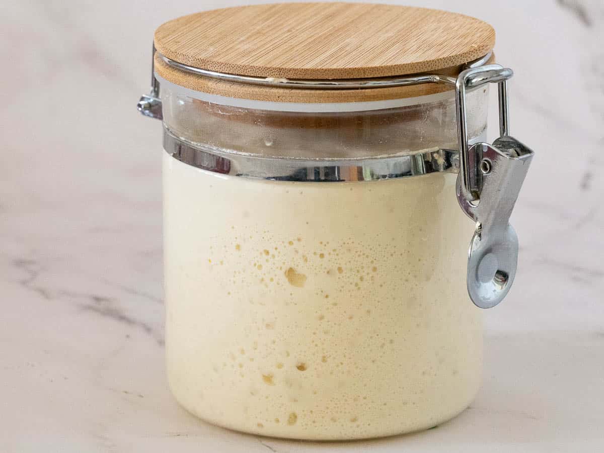 A large canister of sourdough starter.