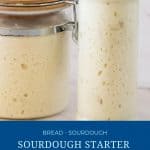 Pinterest image for sourdough starter.