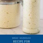 Pinterest image for making starter for sourdough bread.