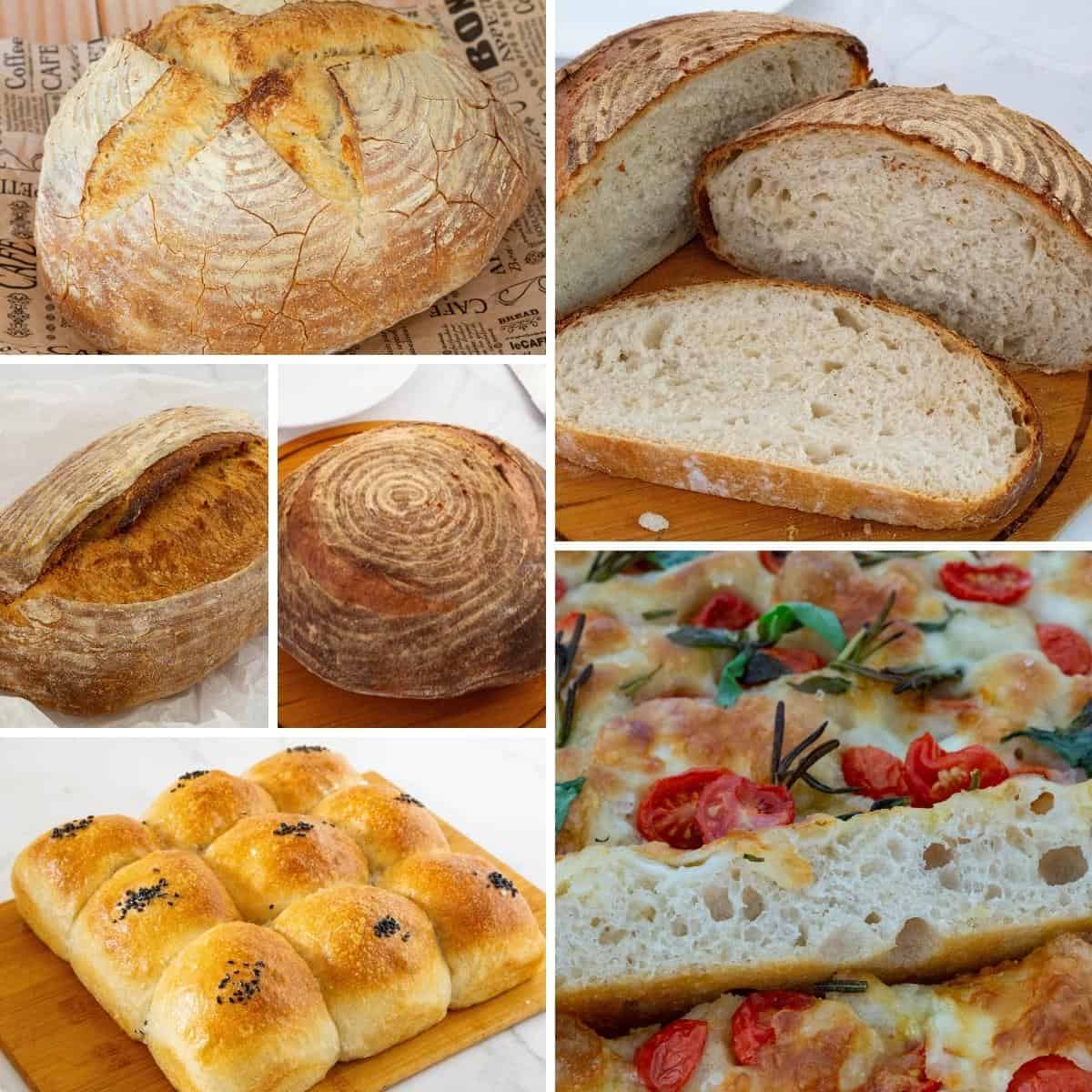 Collage of sourdough bread recipes.