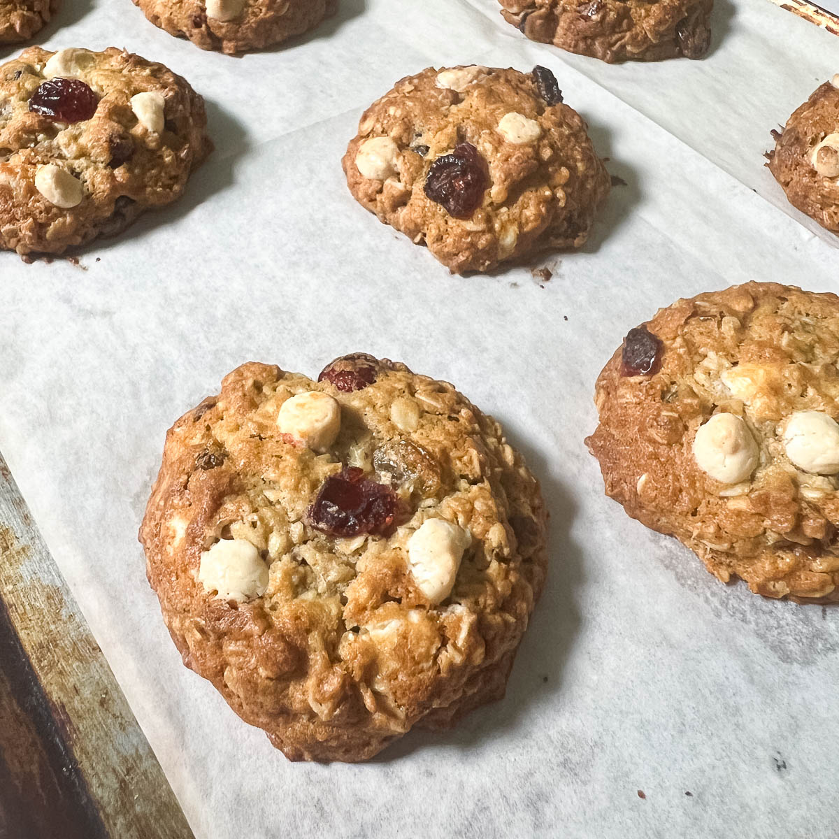 Freshly baked cookies on the baking tray.
