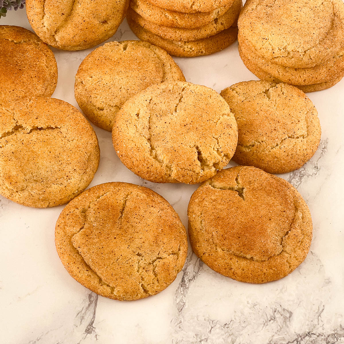 A spread of snickerdoodle cookies on a table.