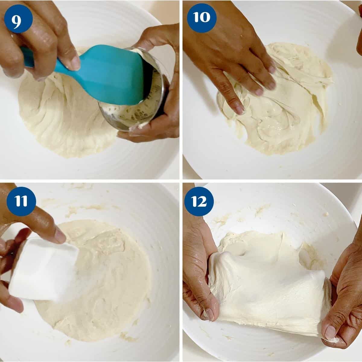 Progress pictures making the sourdough dough.